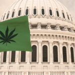 Implications of Cannabis Legalization